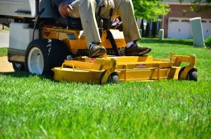 how to start a lawn care business