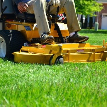 Sales Process for Landscapers – A Short Guide