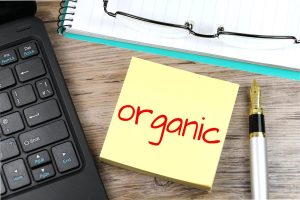organic marketing efforts